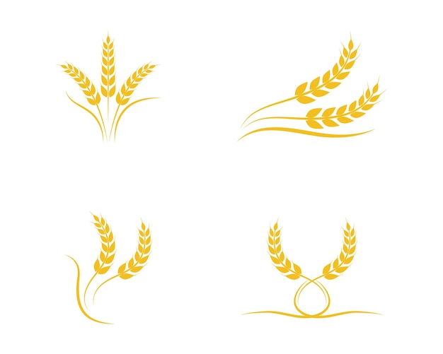 Plantilla de logotipo de trigo de agricultura