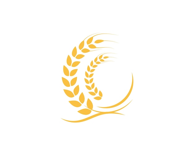 Plantilla de logotipo de trigo de agricultura