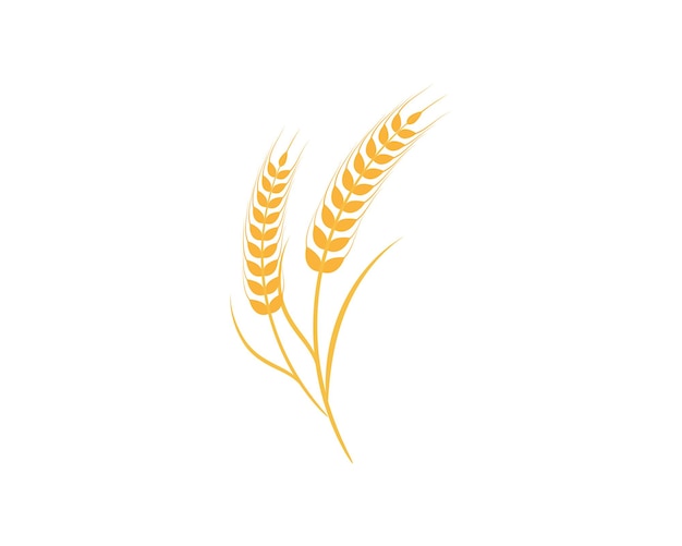 Plantilla de logotipo de trigo de agricultura