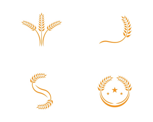 Vector plantilla de logotipo de trigo