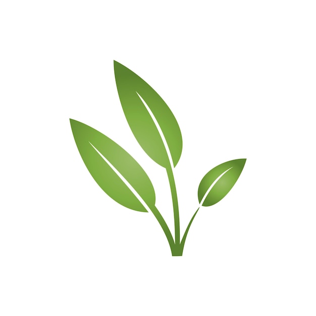 plantilla de logotipo vectorial del icono de las hojas verdes de la naturaleza