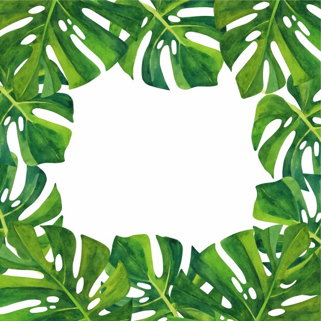 Vector plantilla de marco de hoja de monstera tropical para pintura de acuarela de banner con espacio libre para texto