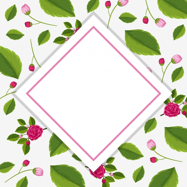 Vector plantilla de marco con rosas rosadas