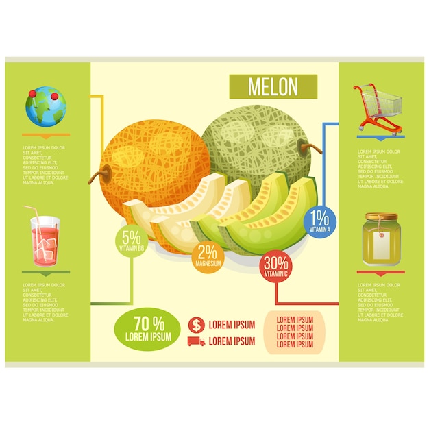 Vector plantilla de melón infografía