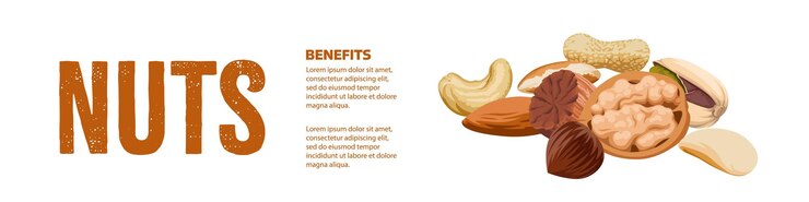 Vector plantilla de nueces banner de nueces estilo plano
