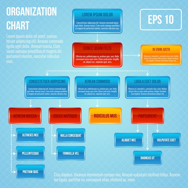 Vector plantilla de organigrama brillante