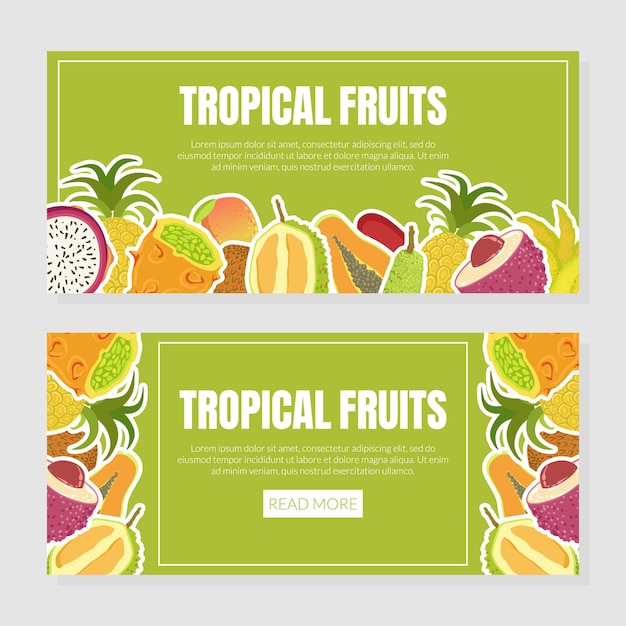 Vector plantilla de página de aterrizaje de frutas tropicales con ilustración vectorial de frutas exóticas frescas maduras