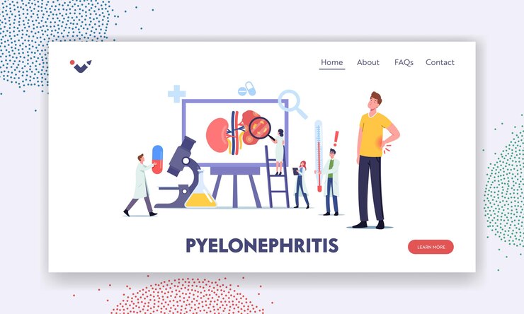 Vector plantilla de página de destino de pielonefritis. pequeños médicos personajes nefrólogos que diagnostican y consultan al paciente con enfermedad renal, análisis de orina, diagnóstico hospitalario. ilustración de vector de gente de dibujos animados