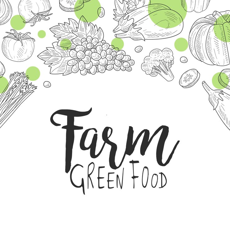 Vector plantilla de pancarta de comida verde de la granja se puede usar para tiendas de alimentos orgánicos productos veganos mercado de granja menú de restaurante ilustración vectorial dibujada a mano