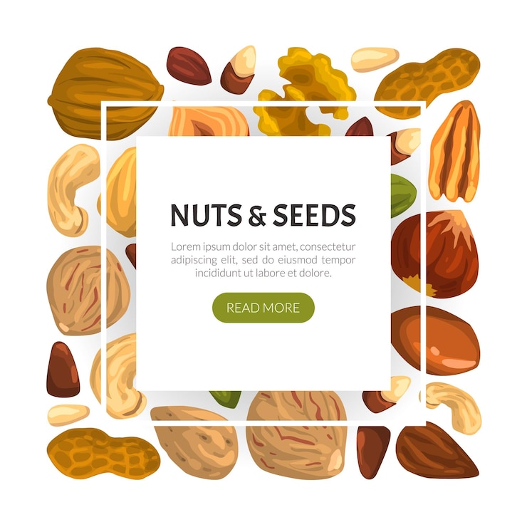 Vector plantilla de pancarta vectorial de nueces con caju y almendras