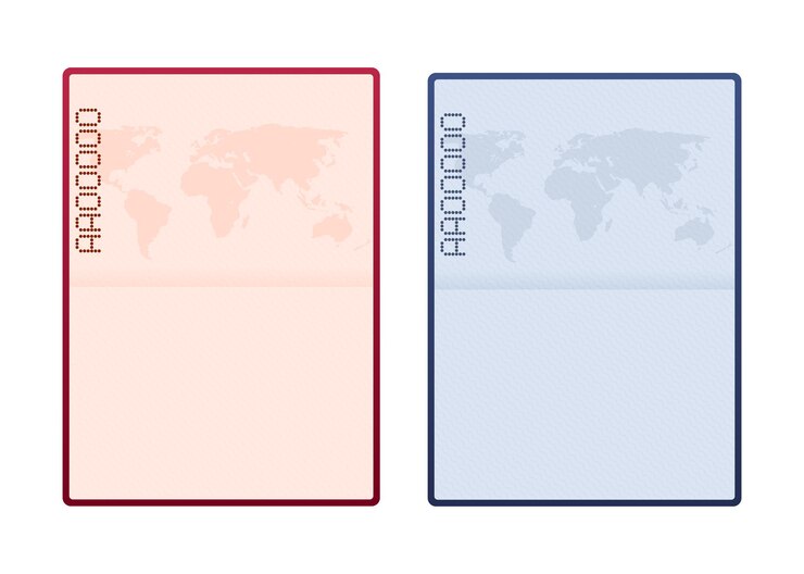 Vector plantilla de pasaporte abierto en blanco. pasaporte internacional con muestra de página de datos personales. ilustración de stock vectorial.