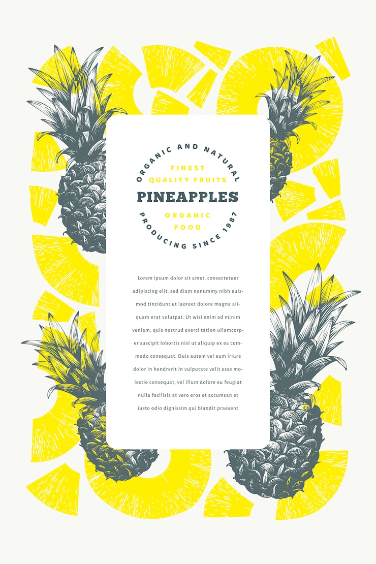 Vector plantilla de piñas dibujado a mano ilustración de frutas tropicales.