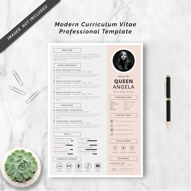 Vector plantilla profesional de curriculum vitae moderno