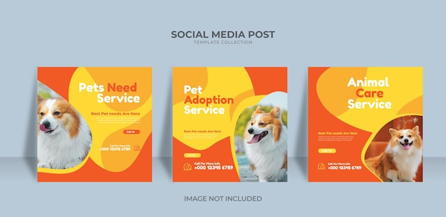 Plantilla de publicación de instagram de diseño de tienda de mascotas