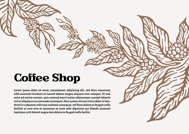 Plantilla de rama de árbol de café con hojas de café natural y frijoles Ilustración botánica