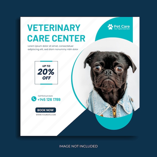 Plantilla de redes sociales para mascotas plantilla de vector de banner de promoción de publicación de instagram veterinaria de mascotas