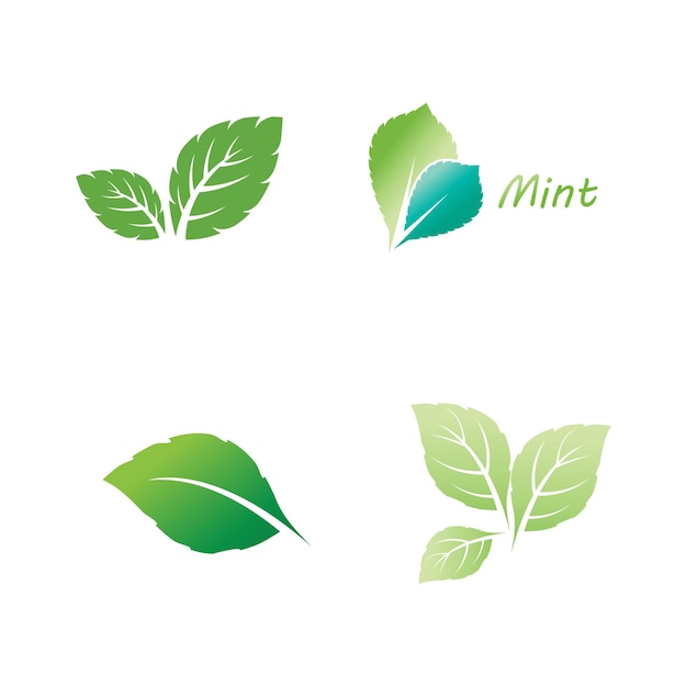 plantilla y símbolo del elemento vectorial del logotipo de la hoja de menta