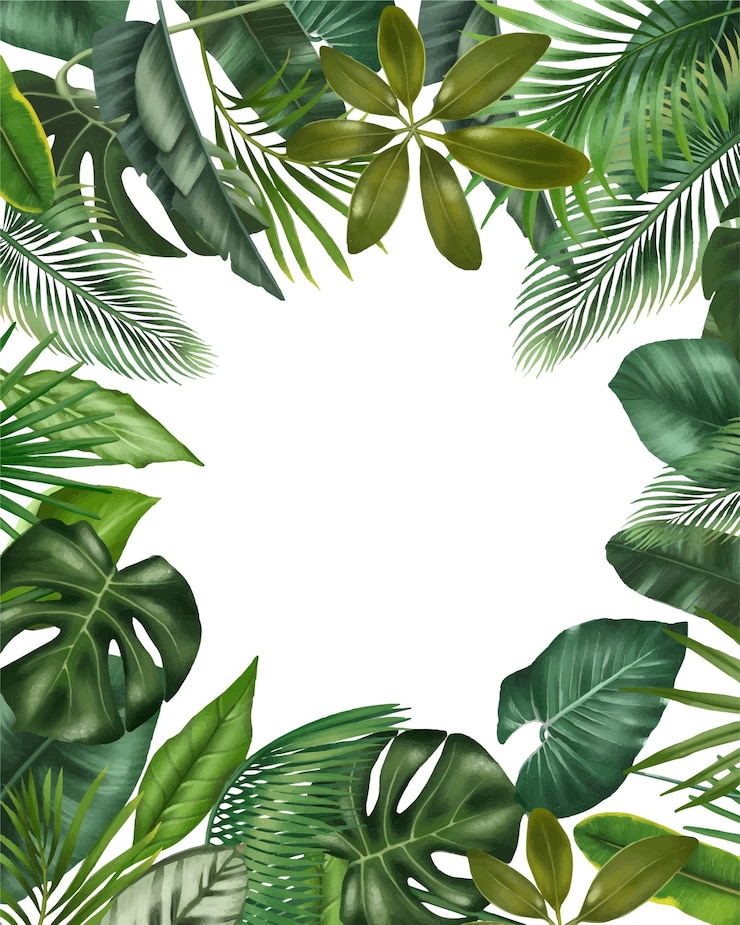 Vector plantilla de tarjeta, borde floral de hojas tropicales verdes