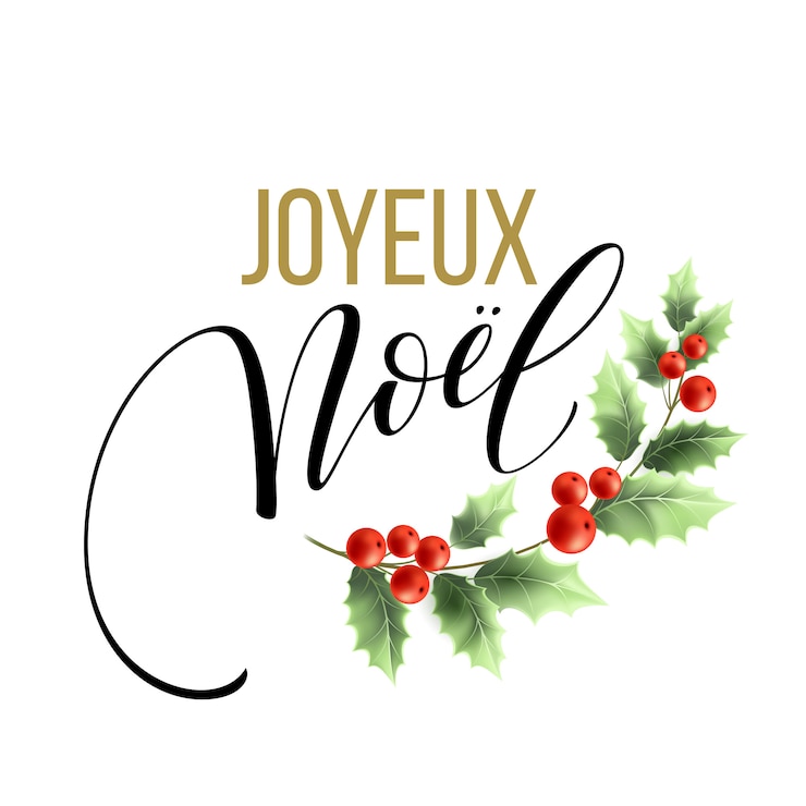 Vector plantilla de tarjeta de feliz navidad con saludos en idioma francés. feliz navidad