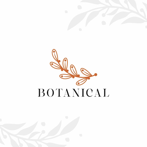 Plantilla de vector botánico