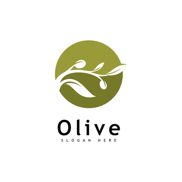 Plantilla de vector de diseño de logotipo de aceite de oliva