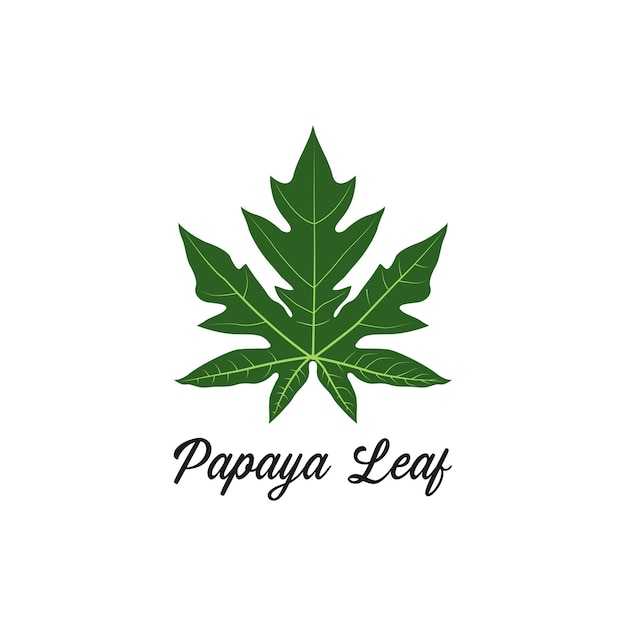 Plantilla de vector de diseño de logotipo de hoja de papaya