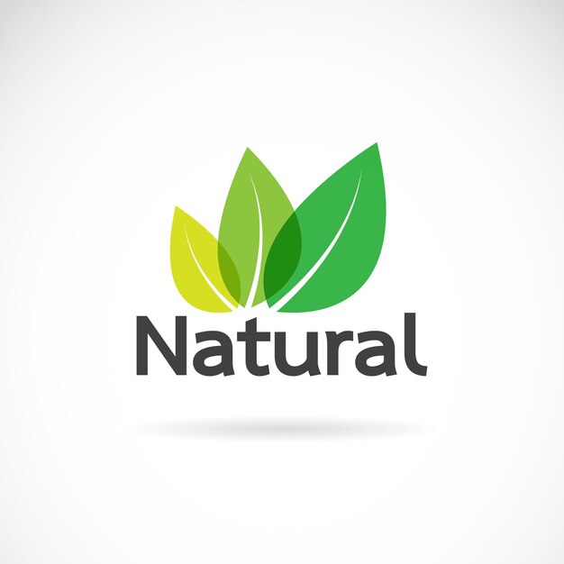 Plantilla de vector de diseño de logotipo natural sobre fondo blanco. icono de hoja