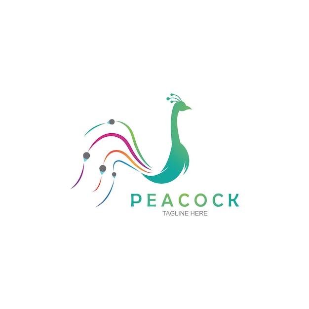 Plantilla de vector de diseño de logotipo de pavo real