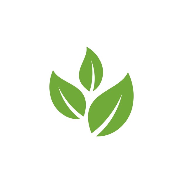 Plantilla de vector de icono de hoja verde natural