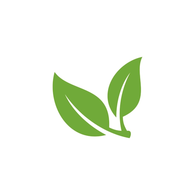 Plantilla de vector de icono de hoja verde natural