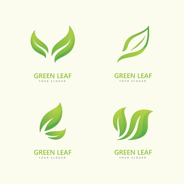Plantilla de vector de icono de logotipo de hoja verde