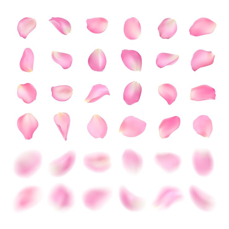 Vector plantilla vectorial de diferentes formas pétalo de rosa rosa aislado sobre fondo blanco pétalos de sakura borrosos volumétricos realistas ilustración del efecto borroso