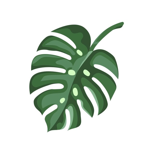 plantilla vectorial de diseño de iconos de hojas de monstera