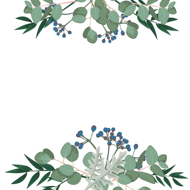Plantilla vectorial con eucalipto, vegetación.