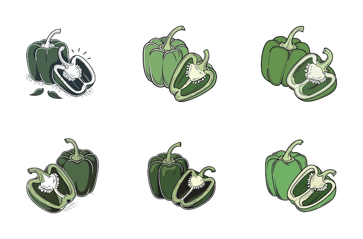 Vector plantilla vectorial de gráficos y iconos de bell pepper