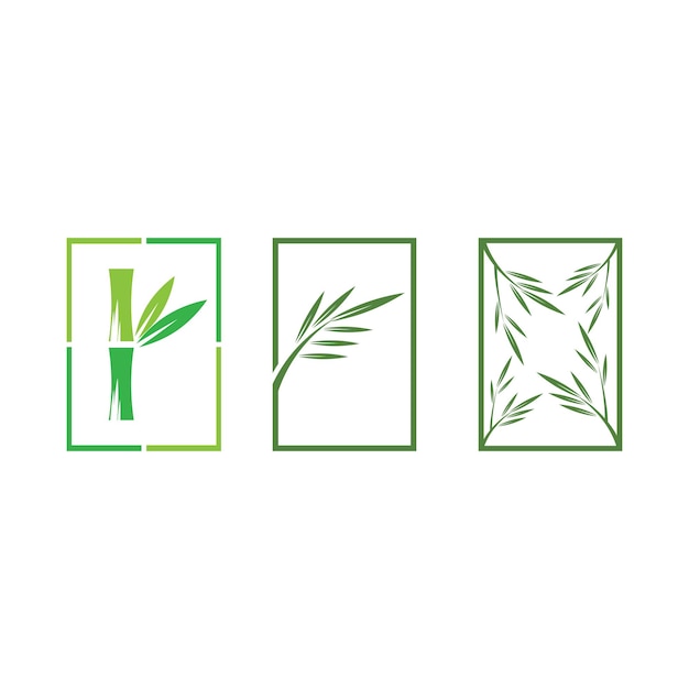 Plantilla vectorial de ilustración del logotipo de bambú con hoja verde