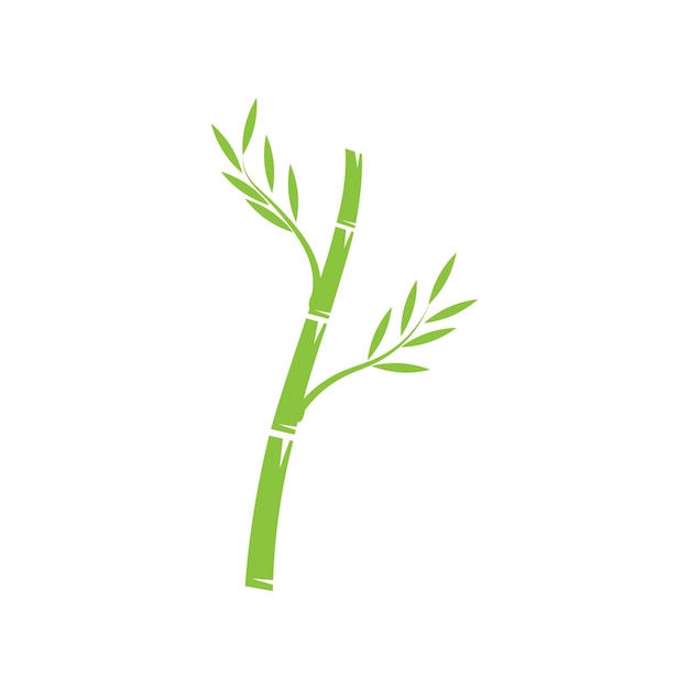 Plantilla vectorial de ilustración del logotipo de bambú con hoja verde