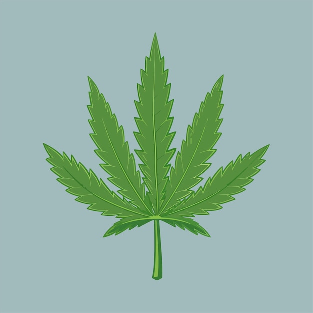 plantilla vectorial