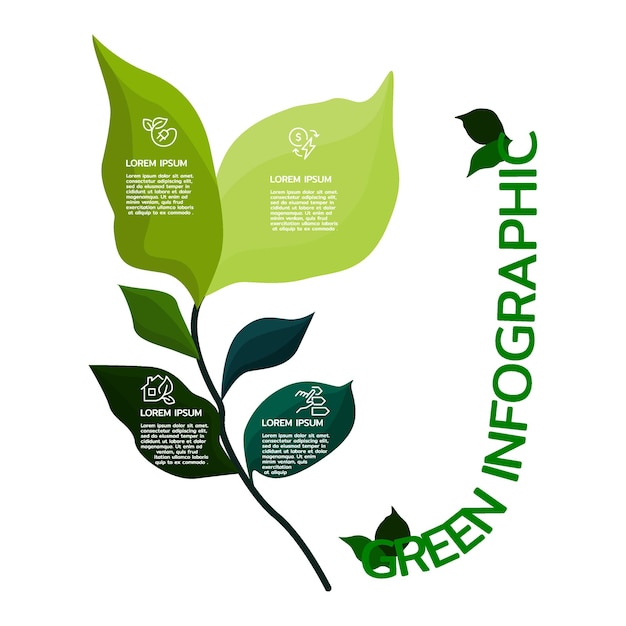 Plantilla verde Infografía