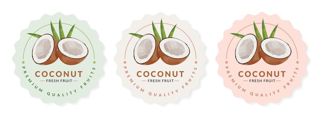 Plantillas de diseño de embalaje de coco, ilustración vectorial de estilo acuarela.