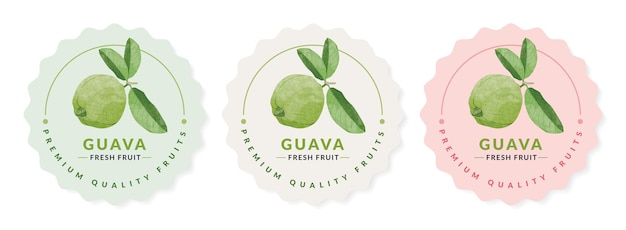 Plantillas de diseño de empaque de fruta de guayaba, ilustración vectorial de estilo acuarela.