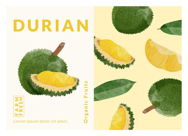 Las plantillas de diseño de envases de durian son una ilustración vectorial de estilo acuarela