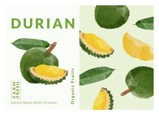 Las plantillas de diseño de envases de durian son una ilustración vectorial de estilo acuarela