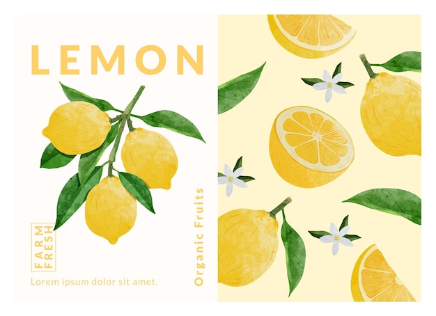 plantillas de diseño de envases de limón ilustraciones vectoriales en estilo acuarela