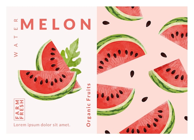 plantillas de diseño de envases de sandía ilustración vectorial de estilo acuarela