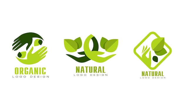 Plantillas de diseño de logotipos orgánicos Conjunto de productos cosméticos de alimentos ecológicos naturales Insignias con conjunto de hojas verdes Ilustración vectorial plana