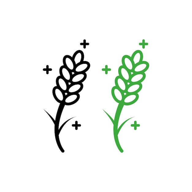plantillas de diseño vectorial de iconas de flores de lavanda