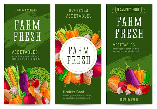 Plantillas de folletos frescos de granja vegetales brillantes sobre fondo verde