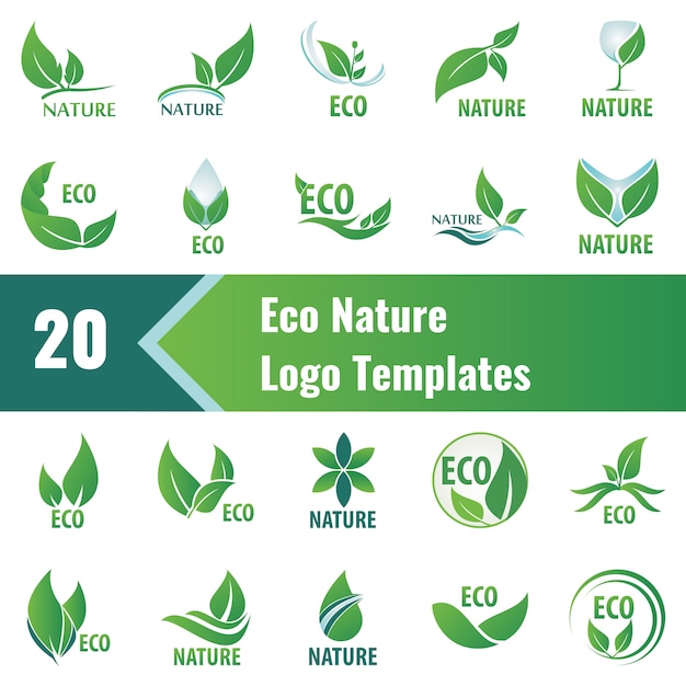 Vector plantillas de logotipo eco nature