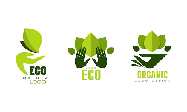 Plantillas de logotipos ecológicos naturales Conjunto de insignias de productos alimenticios biológicos con conjunto de ilustraciones vectoriales planas con hojas verdes